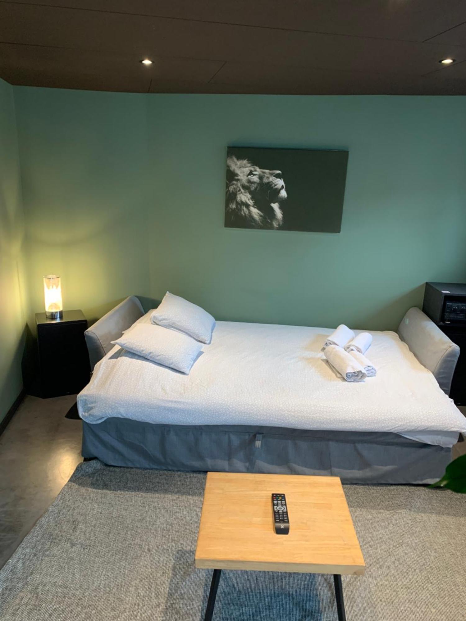 Froissart Loft Et Studio Chimay Buitenkant foto
